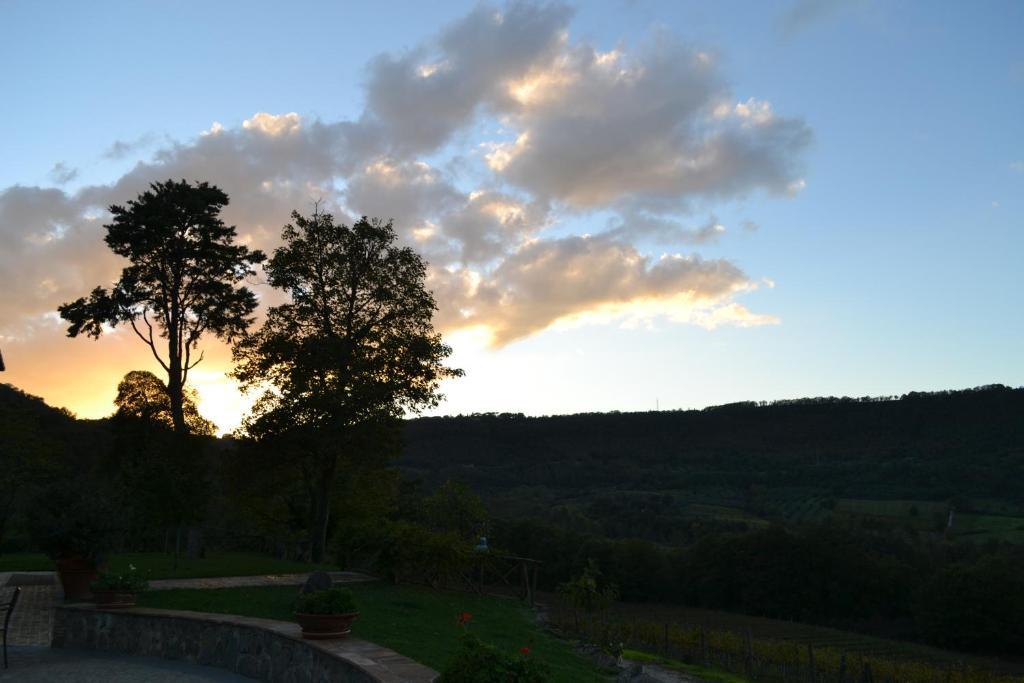 Agriturismo Lapone Orvieto Extérieur photo