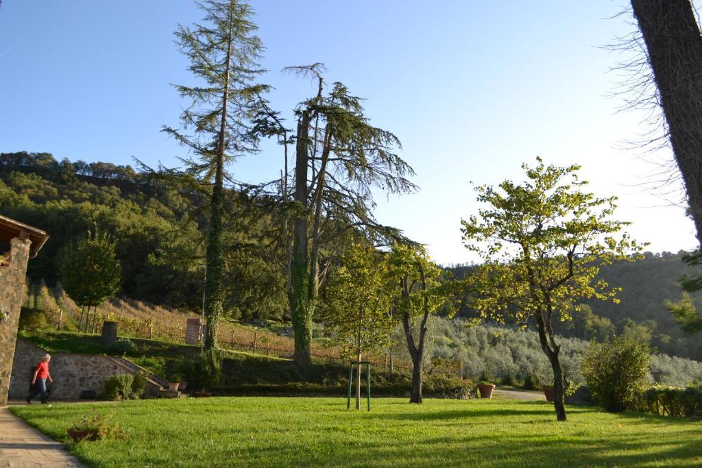 Agriturismo Lapone Orvieto Extérieur photo